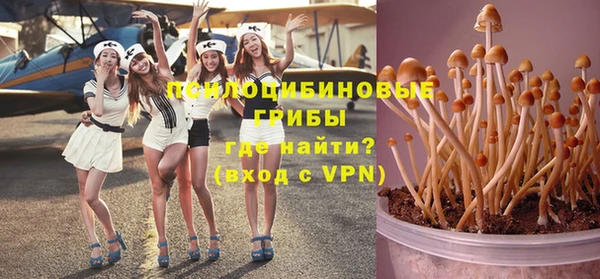 ПСИЛОЦИБИНОВЫЕ ГРИБЫ Алексин