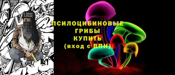 ПСИЛОЦИБИНОВЫЕ ГРИБЫ Алексин